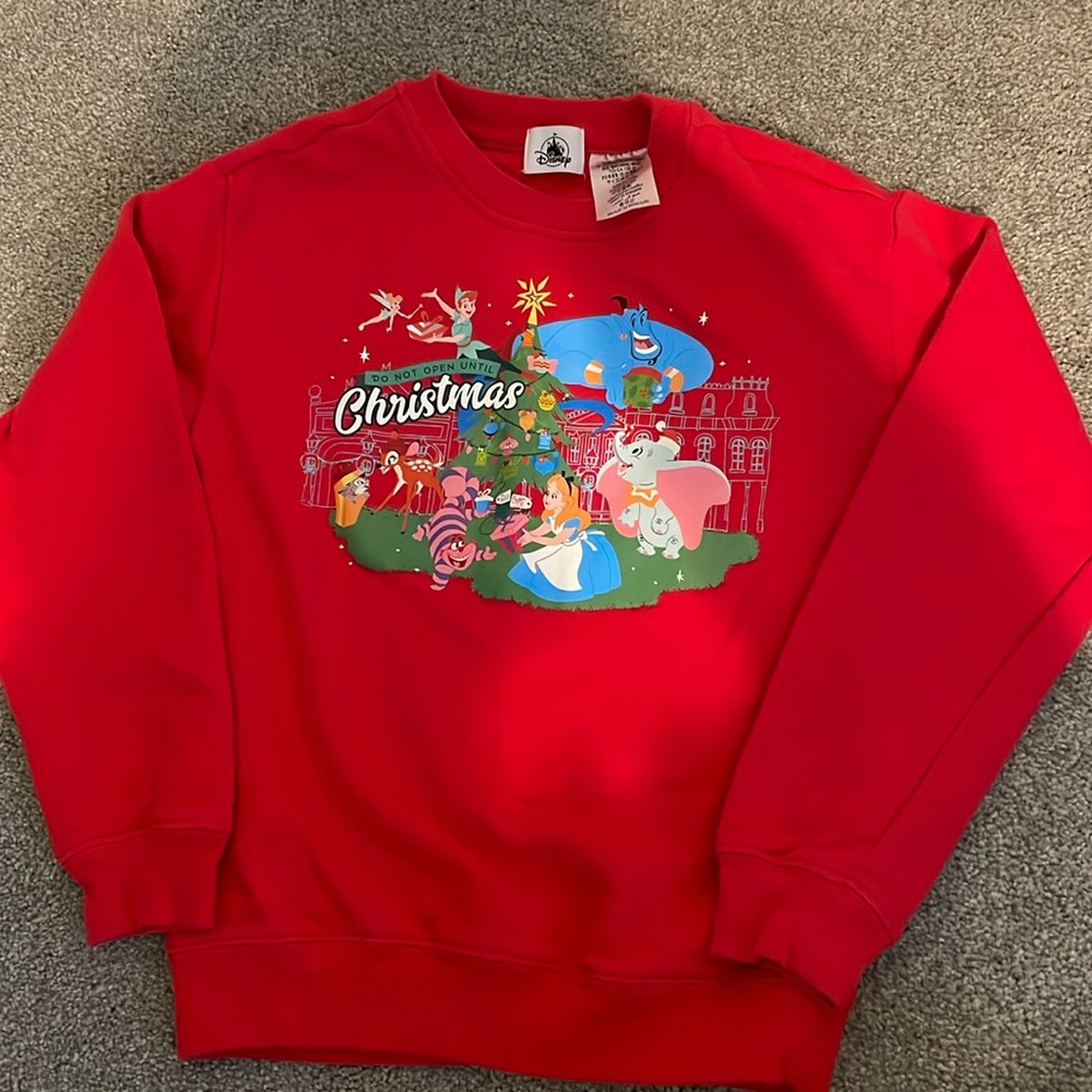 Disney Parks Kids Christmas Sweatshirt